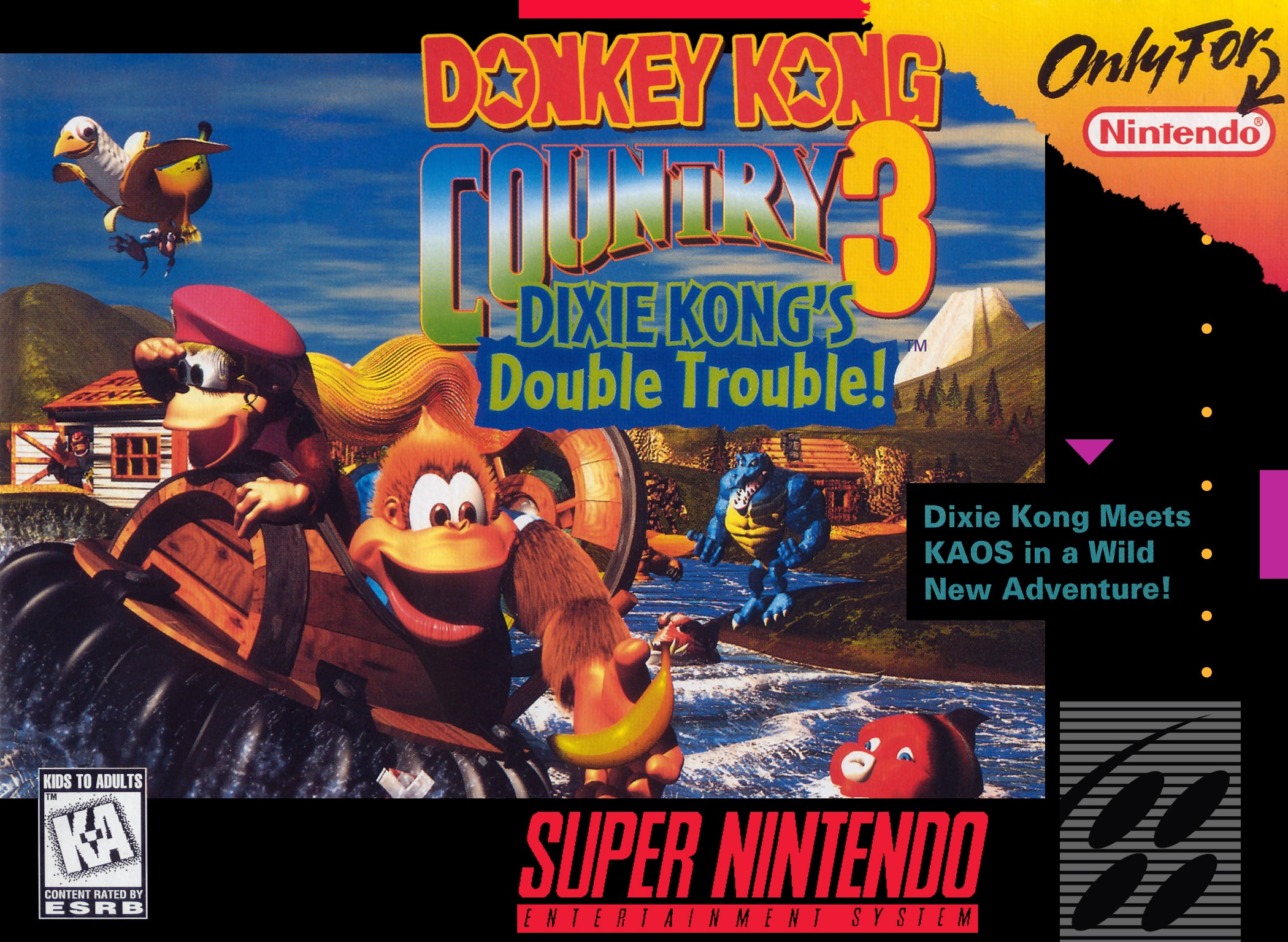 Donkey Kong Country 3 - Dixie Kong's Double Trouble box art